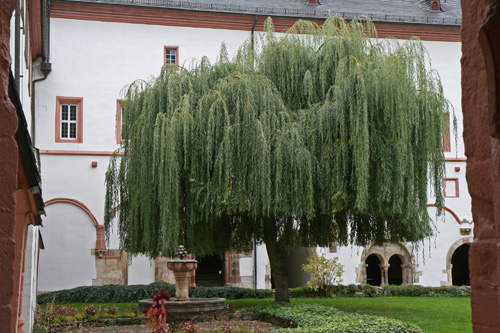 Kloster Eberbach - Brunnen und Klausur-Ostflügel